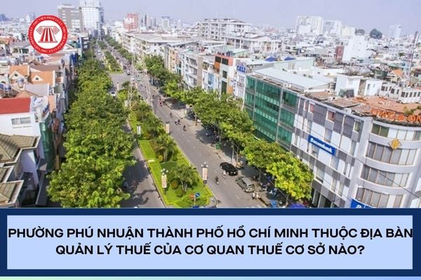 Pháp luật