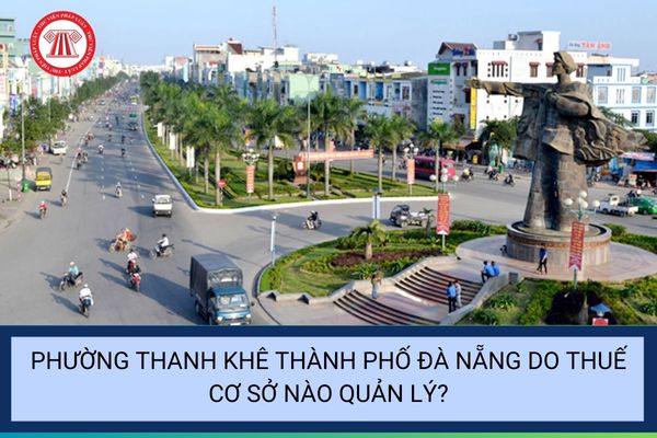 Pháp luật