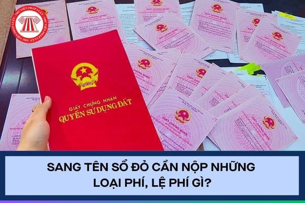 Pháp luật