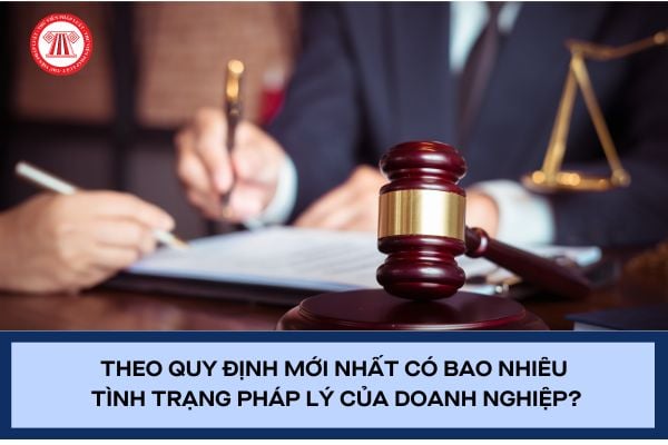 Pháp luật