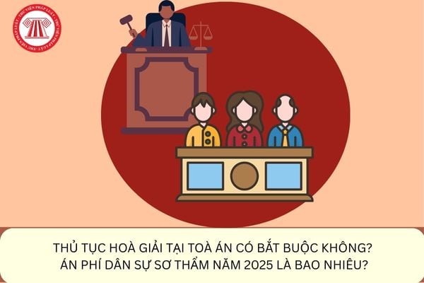 Pháp luật