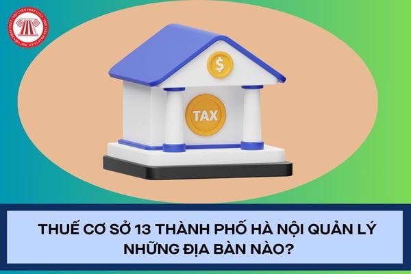Pháp luật