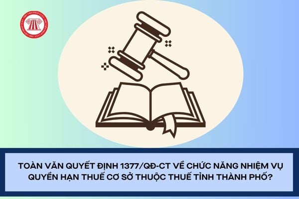 Pháp luật