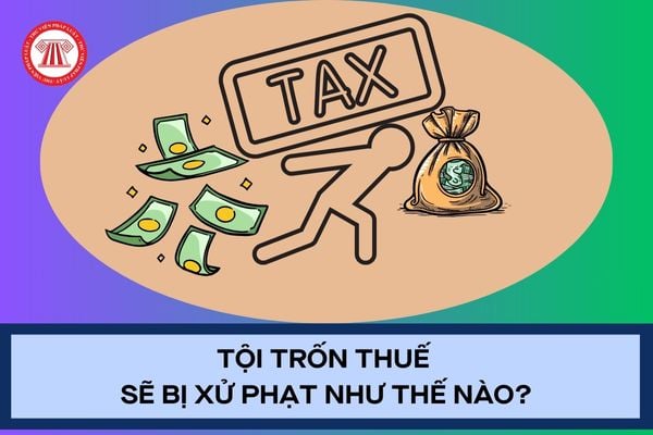 Pháp luật