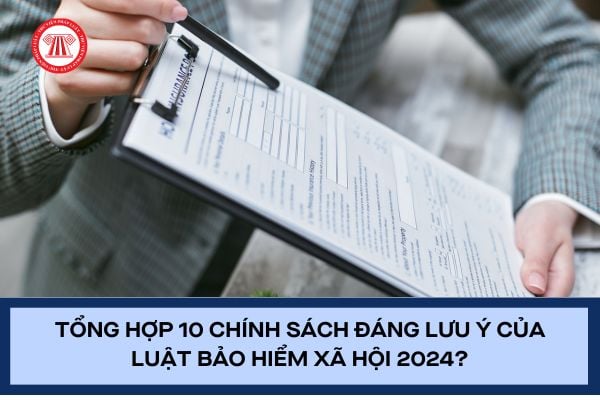 Pháp luật