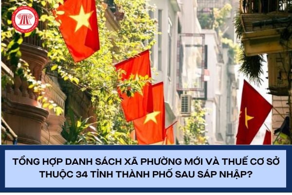Pháp luật