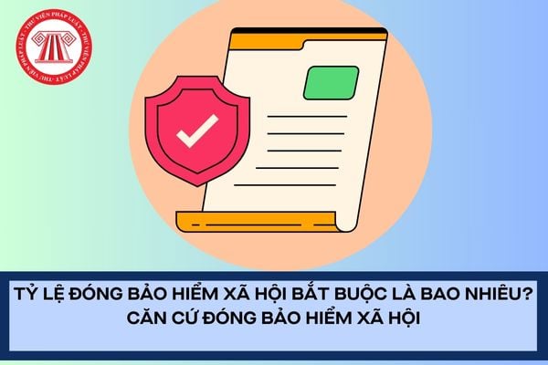 Pháp luật