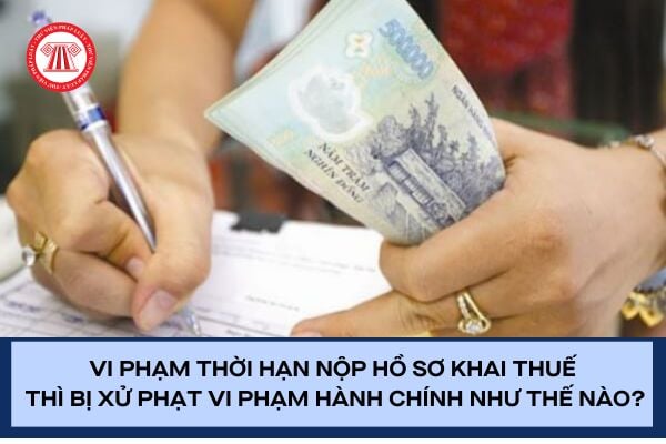 Pháp luật