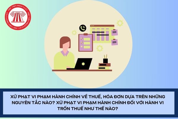 Pháp luật