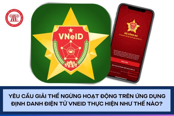 Pháp luật