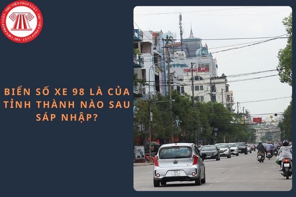 Pháp luật