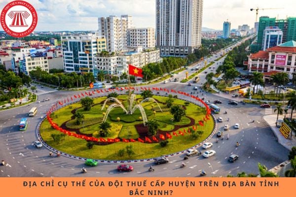 Pháp luật