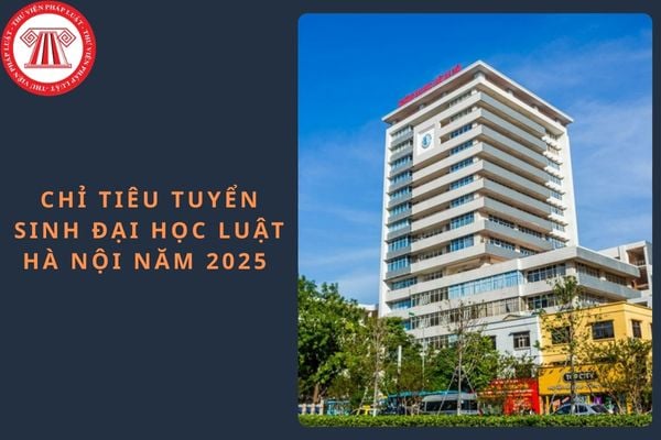Pháp luật