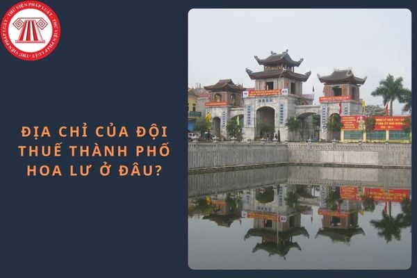 Pháp luật