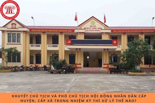 Pháp luật