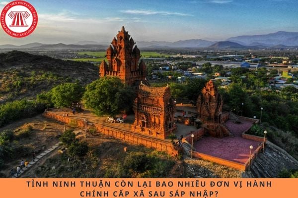 Pháp luật