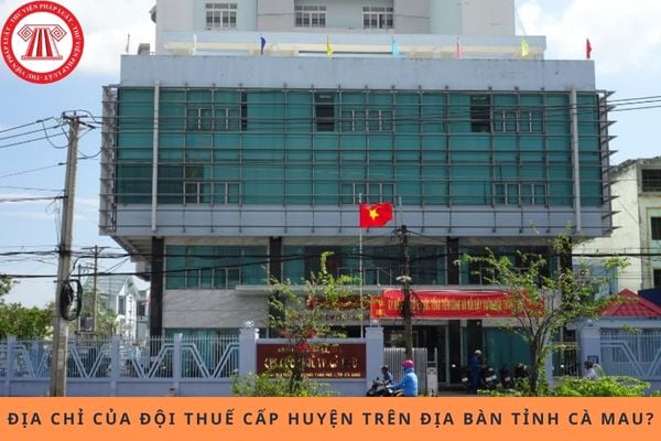Pháp luật