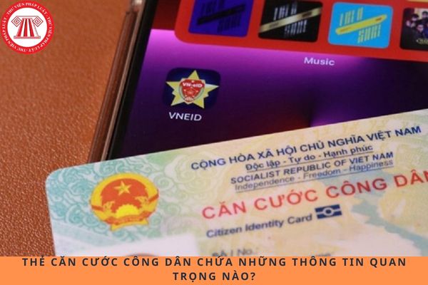Pháp luật