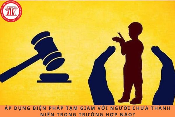 Pháp luật