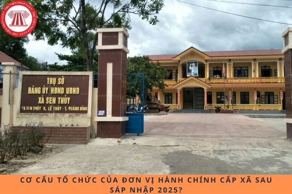 Pháp luật
