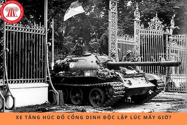 Pháp luật