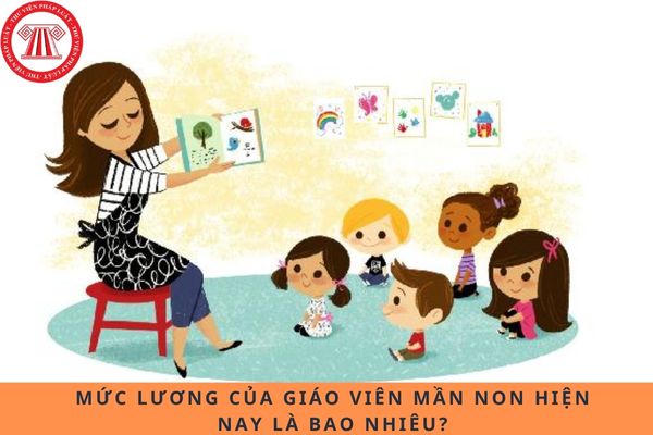 Pháp luật
