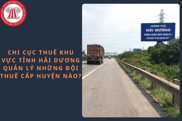 Chi cục Thuế khu vực tỉnh Hải Dương quản lý những đội thuế cấp huyện nào?