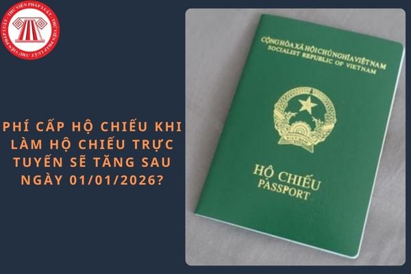 Pháp luật