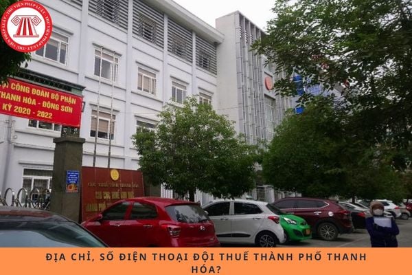 Pháp luật
