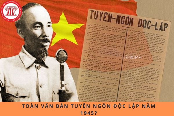 Pháp luật