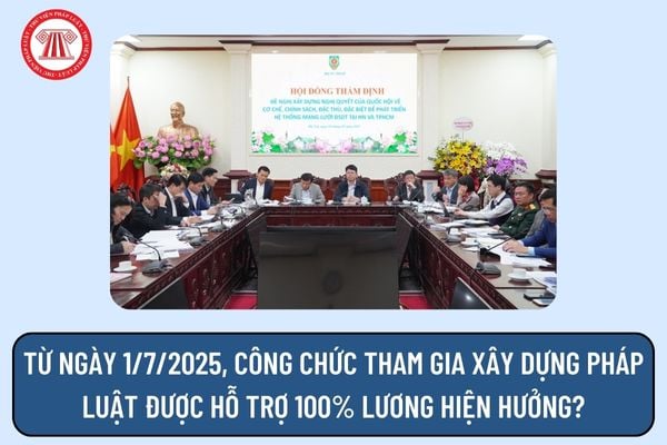 Pháp luật