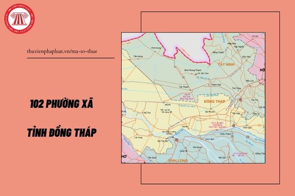 Pháp luật