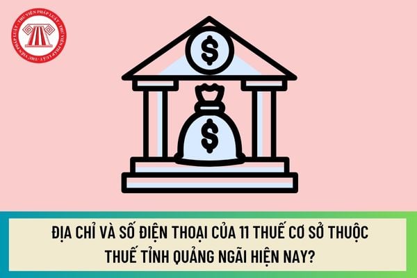 Pháp luật