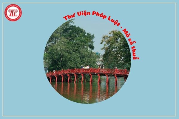 Pháp luật