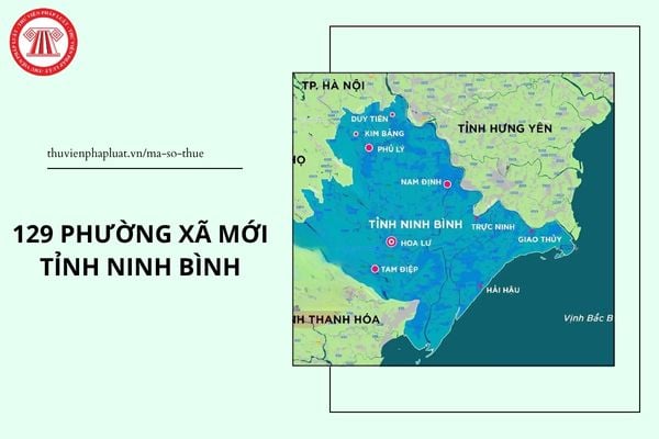 Pháp luật