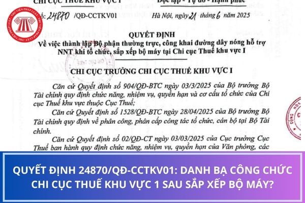 Pháp luật