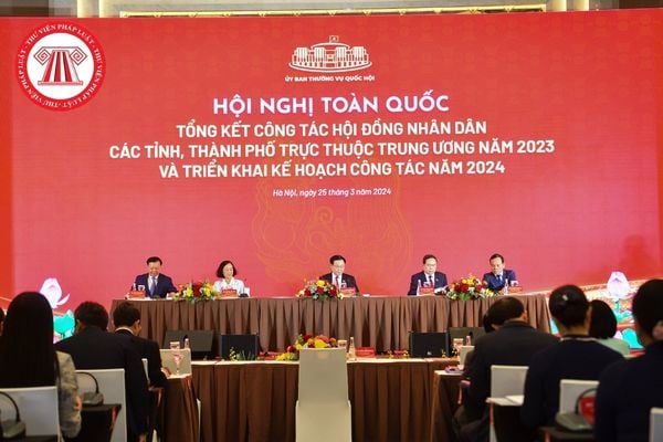 Pháp luật