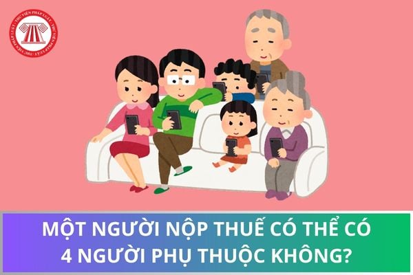 Pháp luật