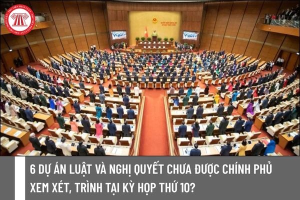 Pháp luật