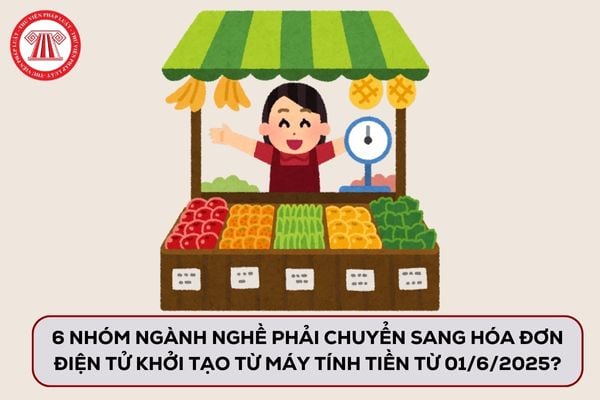 Pháp luật
