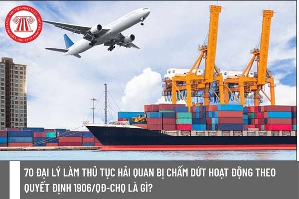 Pháp luật