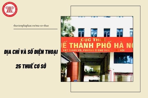 Pháp luật