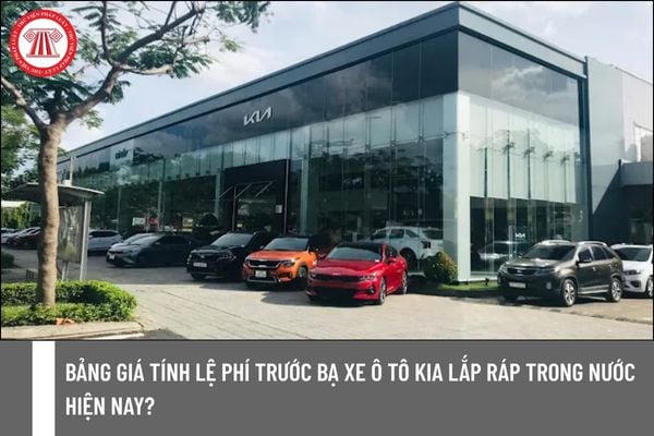 Pháp luật