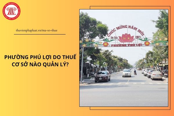 Pháp luật