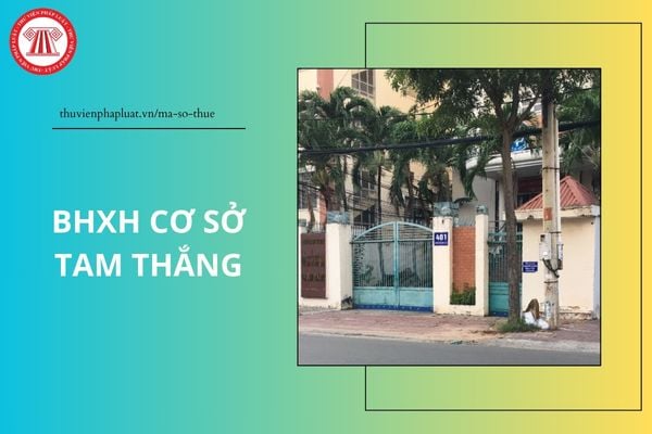 Pháp luật