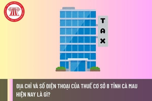 Pháp luật