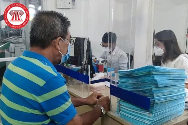 Pháp luật