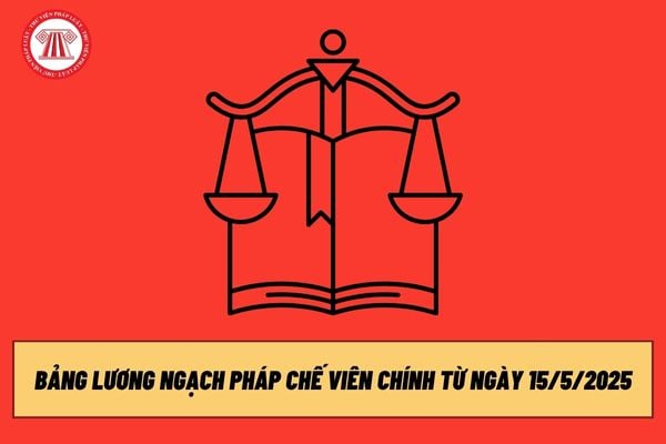 Pháp luật