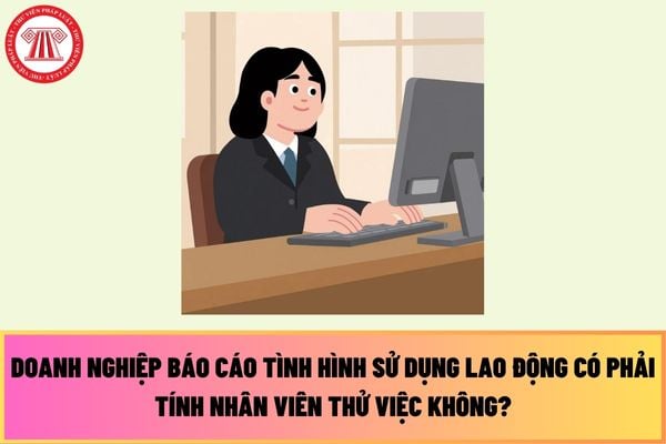 Doanh nghiệp báo cáo tình hình sử dụng lao động có phải tính nhân viên thử việc không?