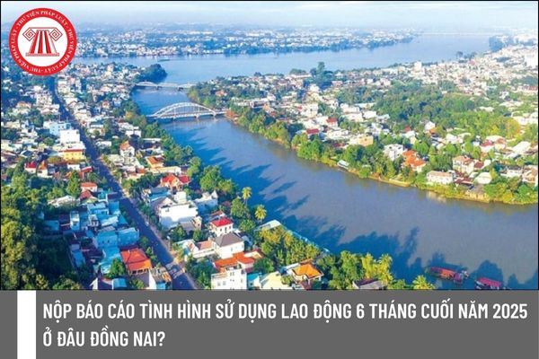 Pháp luật